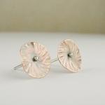 Delicate stud earrings . Sm..